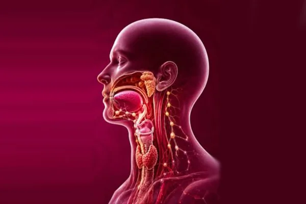 Head and Neck